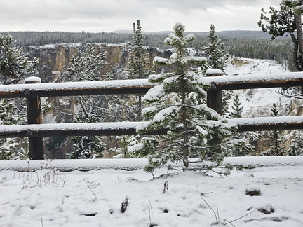 Glacier and Yellowstone NPs May 2024-Day 6