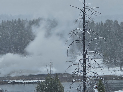Glacier and Yellowstone NPs May 2024-Day 6