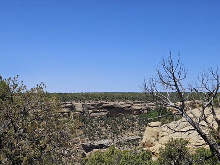 5 Parks in 5 Days-Day 2-Mesa Verde-052025