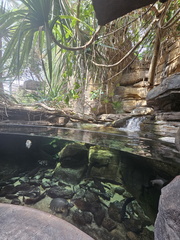 Seein' the DMV-Back in Baltimore (National Aquarium-BSO-John Williams) 072625