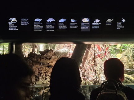 Seein' the DMV-Back in Baltimore (National Aquarium-BSO-John Williams) 072625