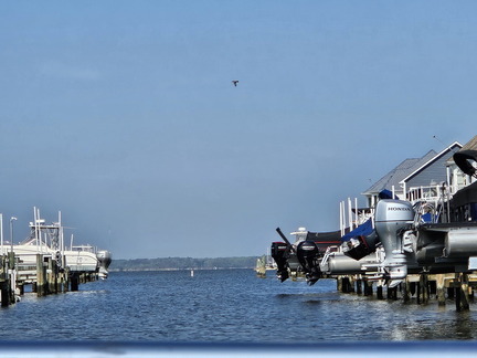 Seein' the DMV-Ocean City-Assateague Island-050125