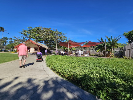 Hawaiian Cruise 2024-Day 2-Oahu