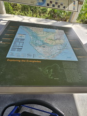 Everglades NP-110124
