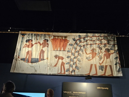 Seein' the DMV-King Tut-ing-050824